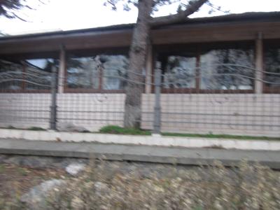 Прикрепленное изображение: Ворона с орехом.3.JPG